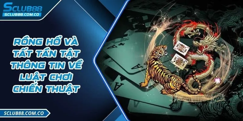 Liệu Mu8 có được hợp pháp hóa tại Việt Nam vào năm 2026? Hướng dẫn đầy đủ và cập nhật nhất - Mu8