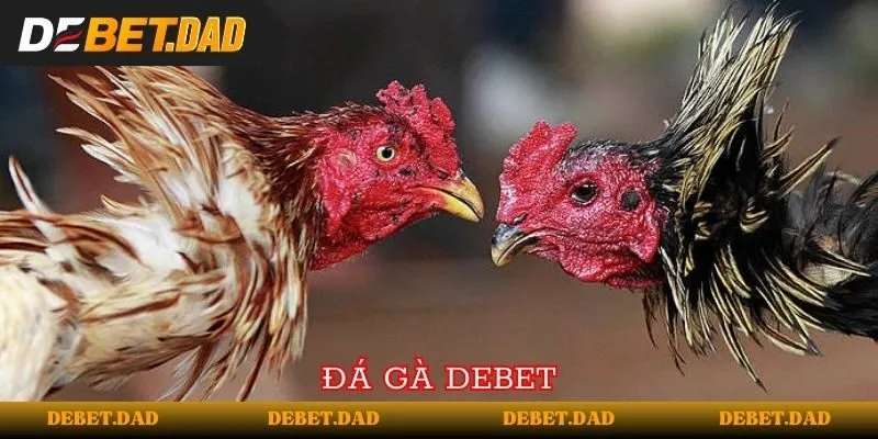 Bình luận trang 88Bet - 88Bet
