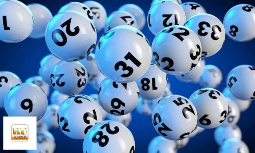 Thương hiệu K9win được ưa chuộng rộng rãi nhờ hình ảnh tích cực của nó - K9win