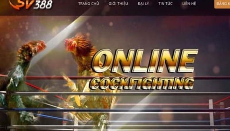 Kiểm tra độ uy tín của các trang web chơi game được xếp hạng Vz99 - Vz99