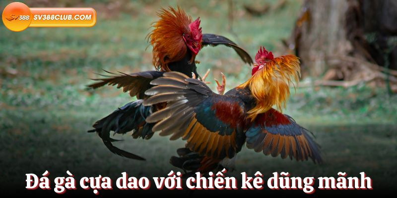 Ax88 cung cấp nhiều phương thức thanh toán - Ax88