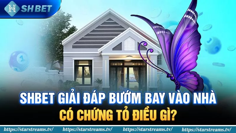 Phần thưởng tín dụng Daga88 miễn phí phổ biến - Daga88