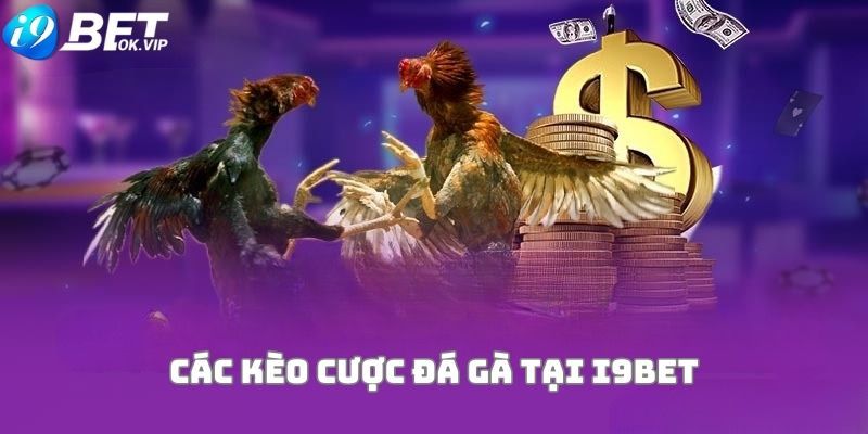Hướng dẫn truy cập và đăng ký Do99 (Liên kết đăng ký) - Do99