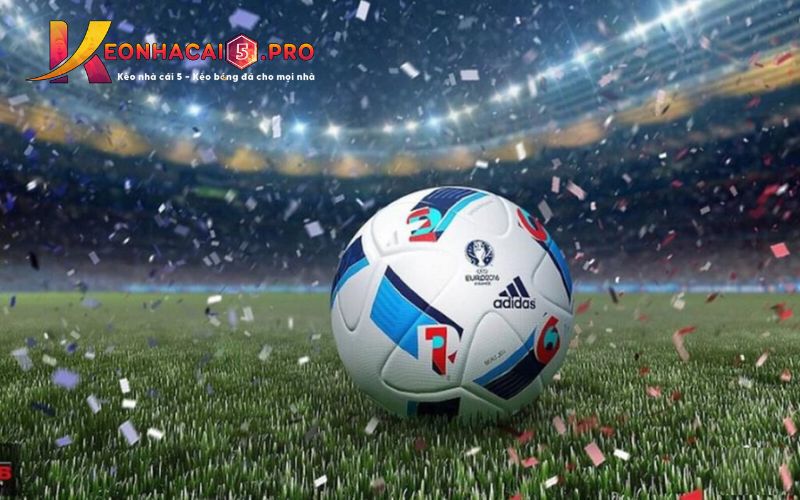Tần suất bảo trì của Công ty trò chơi 365Vn - 365Vn