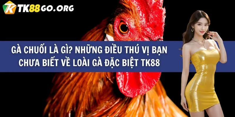 Tổng quan trực tuyến Zalv - Zalv