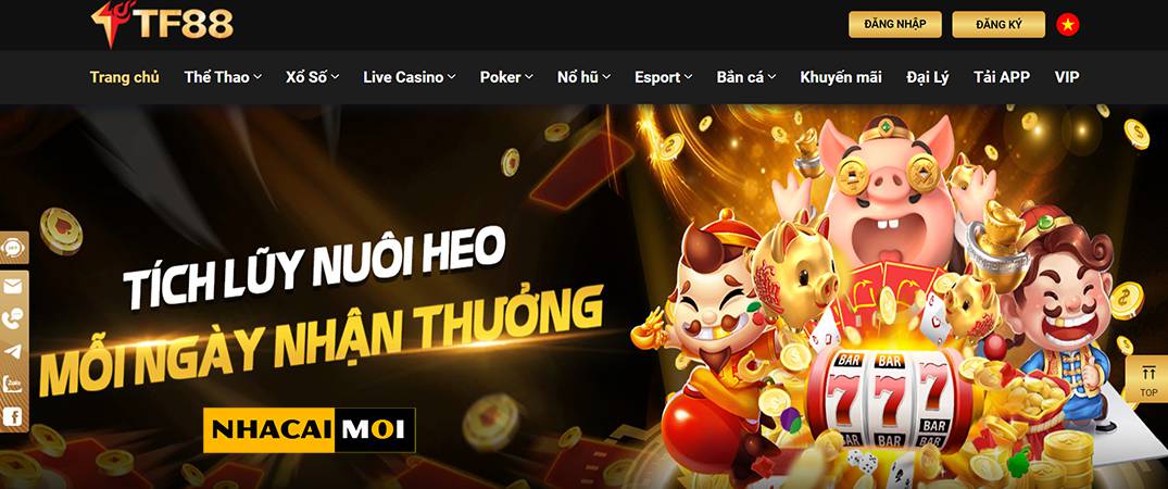Vụ lừa đảo Ev88 liên quan đến số tiền 50 triệu đồng Việt Nam bị chiếm đoạt và sử dụng sai mục đích - Ev88