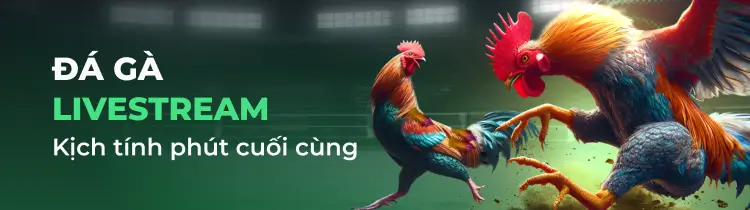 Sản phẩm và dịch vụ 88T - 88T