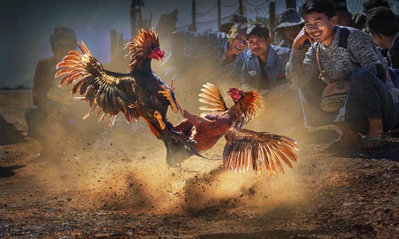 Đăng nhập Win79 Win79 Mới nhất - Win79