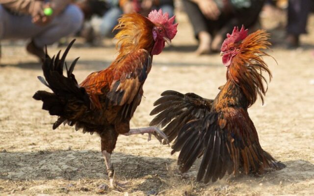 Cơ chế nạp, rút và quy đổi điểm thưởng Mmwin - Mmwin
